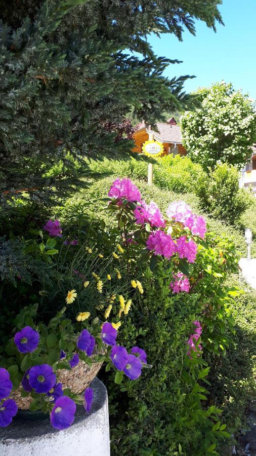 Apartment Haus Dengg Маутерндорф Екстер'єр фото